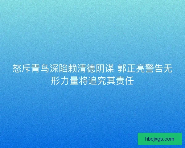 怒斥青鸟深陷赖清德阴谋 郭正亮警告无形力量将追究其责任